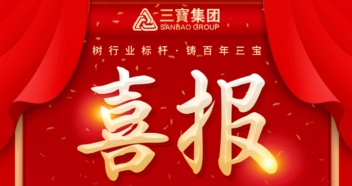 喜报！三宝职工荣获福建省百万职工“五小”创新大赛一等奖