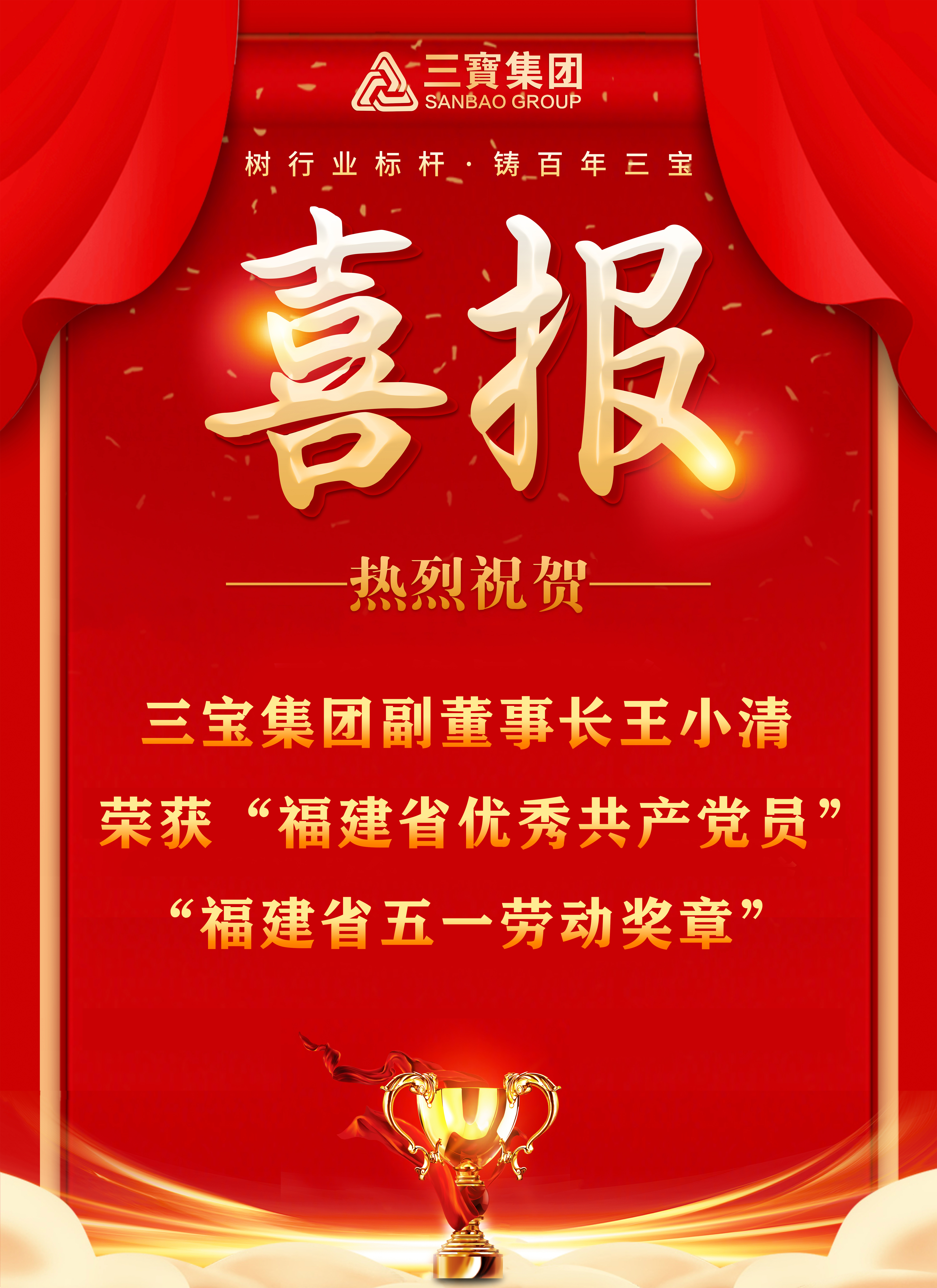 喜报！三宝集团副董事长王小清荣获 “福建省优秀共产党员”“福建省五一劳动奖章”
